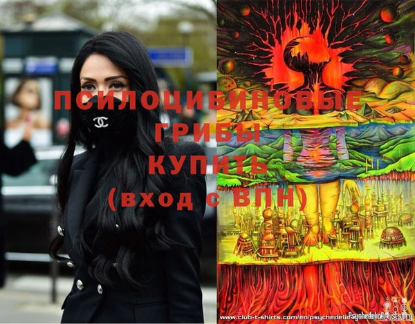 соль курить ск Ладушкин