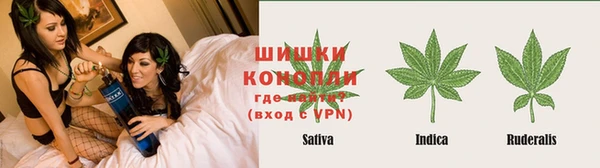 крисы Лабытнанги
