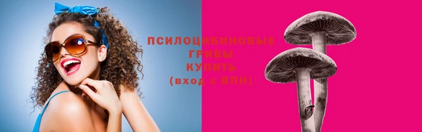 хмурый Куйбышев