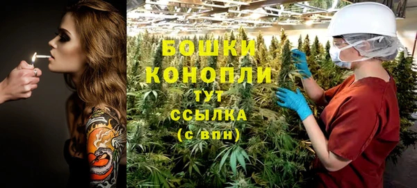 крисы Лабытнанги