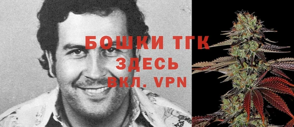 крисы Лабытнанги