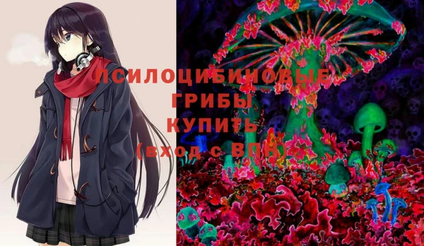 Альфа ПВП Кукмор