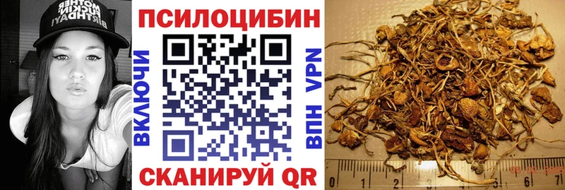 наркотики  Медвежьегорск  Галлюциногенные грибы MAGIC MUSHROOMS 